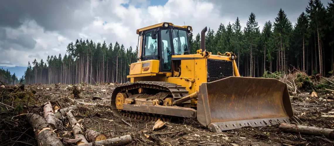 Valuer assessing forestry machinery during a forestry equipment valuation in Tasmania